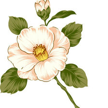 Оригинал схемы вышивки «Rose_white» (№170280)