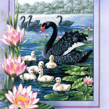 Оригинал схемы вышивки «черные лебеди» (№170704)