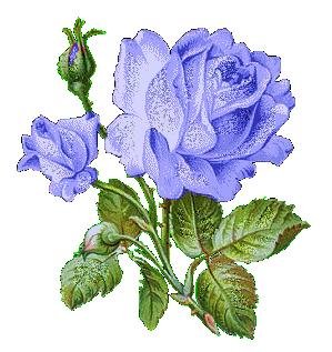голубые розы - цветы, подушка - оригинал