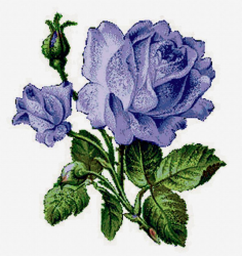 голубые розы - подушка, цветы - предпросмотр