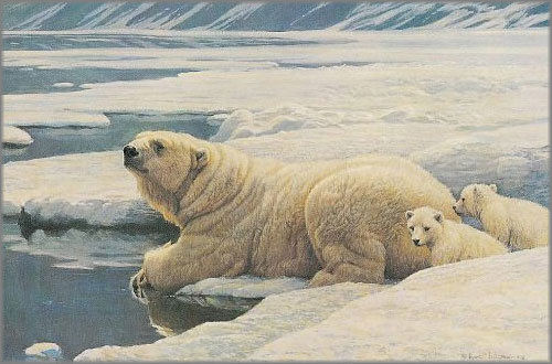 Серия "Медведи" - зима, пейзаж, медведи, снег, животные - оригинал