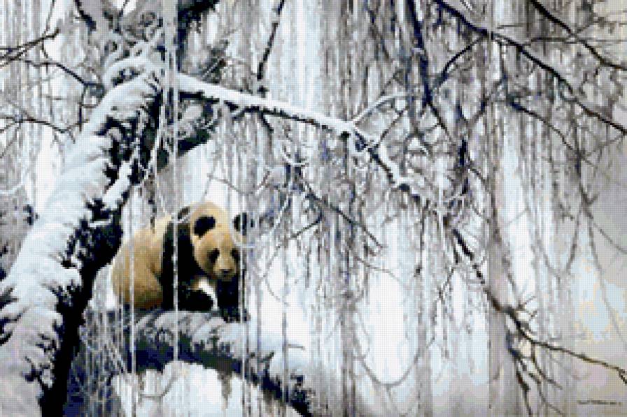 Серия "Медведи" - животные, медведи, зима, панды, пейзаж - предпросмотр