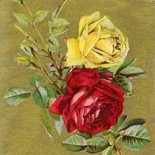Оригинал схемы вышивки «две розы» (№171069)