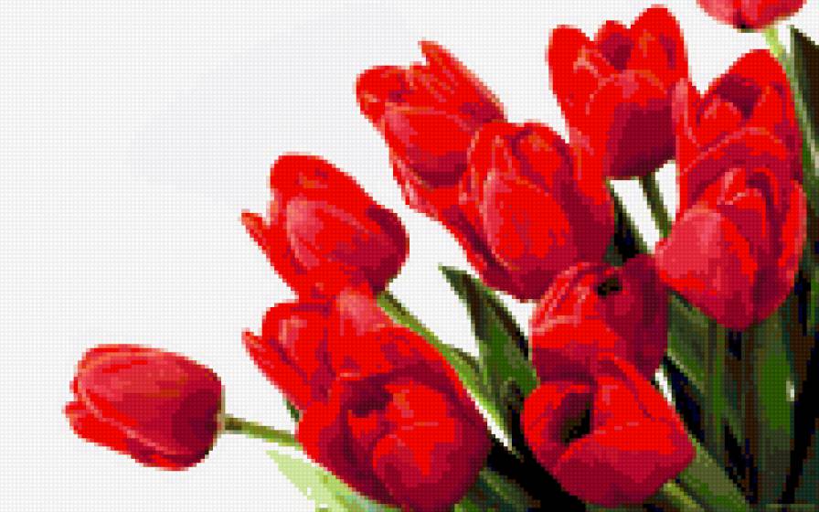 Тюльпаны - букет, цветы, 8 марта, тюльпаны - предпросмотр