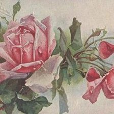 Оригинал схемы вышивки «розы» (№171107)