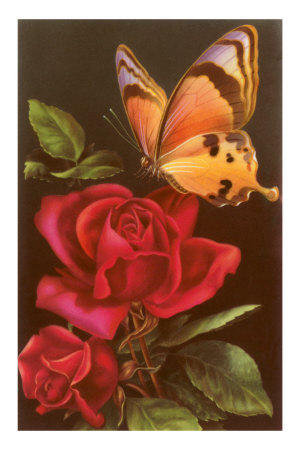№171261 - цветок, бабочка, роза - оригинал