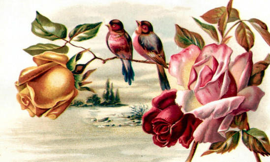 №171267 - винтаж, птицы, розы - оригинал