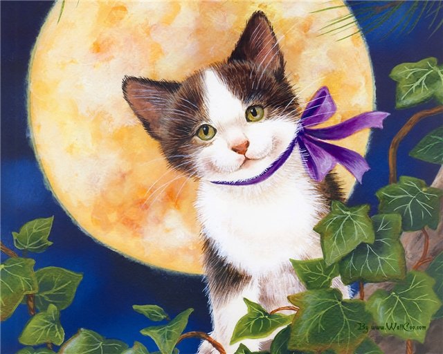 По картине художника. Джейн Мэйдей "Кошачий портал" - цветы, животные, планеты, кот, космос, кошка, картинка, луна - оригинал