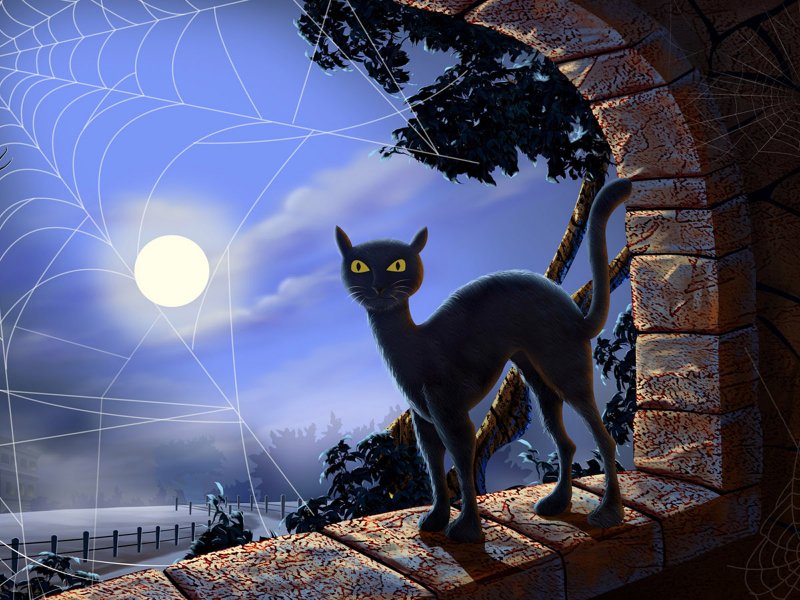 Черный кот под луной. - картинка, цветы, космос, кошка, животные, луна, кот, планеты - оригинал