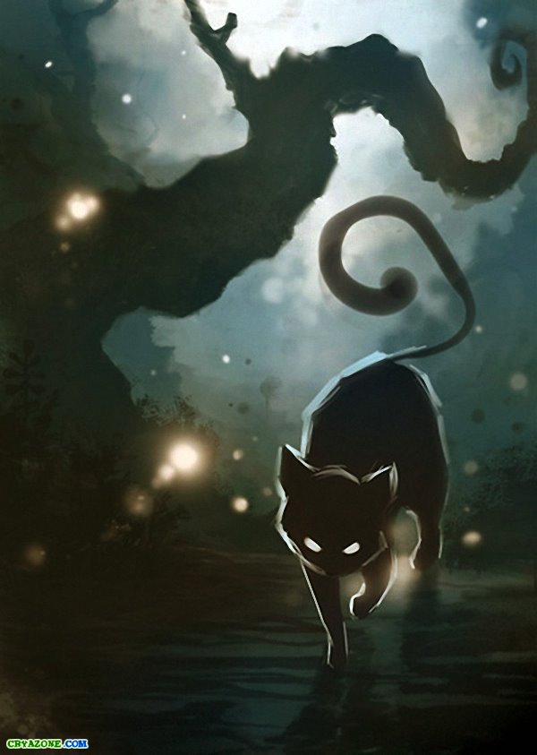 Картинка из сери "BLACK  KAT" - животные, черный, кот, картинка, кошка, юмор - оригинал