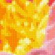 Предпросмотр схемы вышивки «Лотос розовый махровый» (№171911)