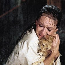 Одри Хепберн с безымянным котом