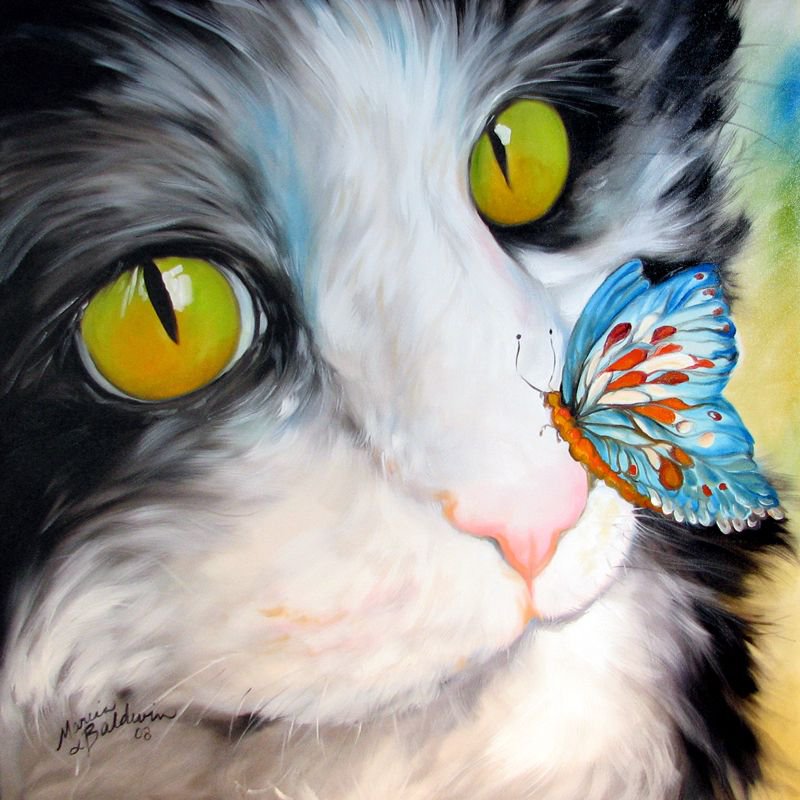 Кот и бабочка - бабочка, живопись, коты, животные - оригинал