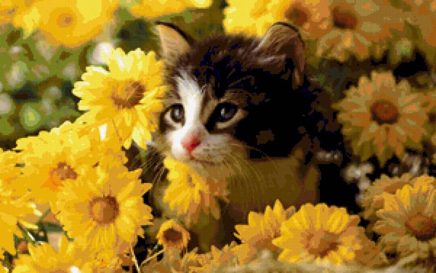 7663 - цветок, котенок, кошки, коты, котята, розы, роза, кот, кошка - предпросмотр