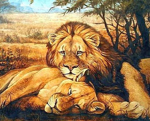 Львы - хищники, львы, животные, саванна - оригинал