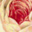 Предпросмотр схемы вышивки «Розы» (№173315)