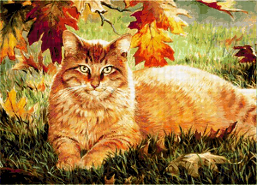 Рыжий кот - листья, кошка, коты, рыжий кот, животные, осень, кошки, природа - предпросмотр
