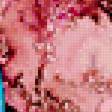 Предпросмотр схемы вышивки «Зимородки в розовом» (№173844)