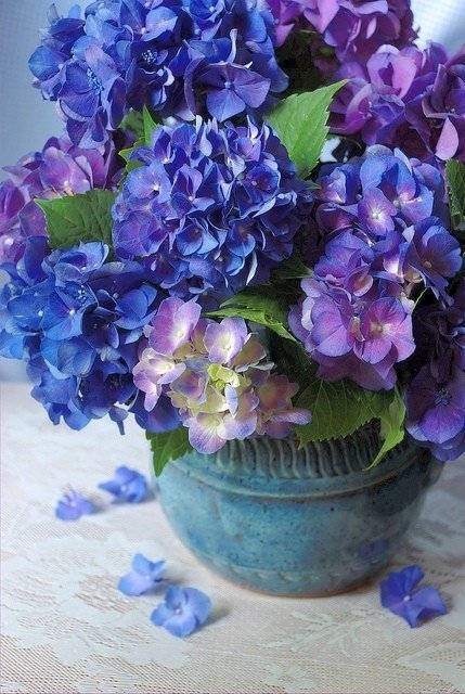 Цветы - букет, гиацинты, голубое, красота, ваза - оригинал