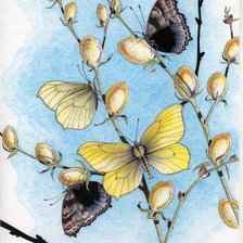 Оригинал схемы вышивки «butterfly» (№174130)