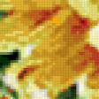 Предпросмотр схемы вышивки «Хризантемы» (№174224)