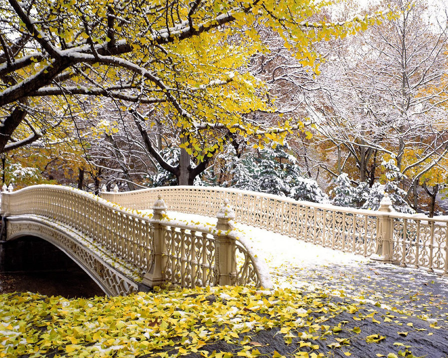 Мост - первый снег, природа, нью-йорк, мост - оригинал
