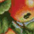 Предпросмотр схемы вышивки «яблочки» (№175044)