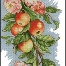 Схема вышивки «яблочки»