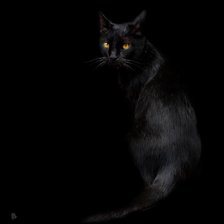 Оригинал схемы вышивки «чёрный кот» (№175336)