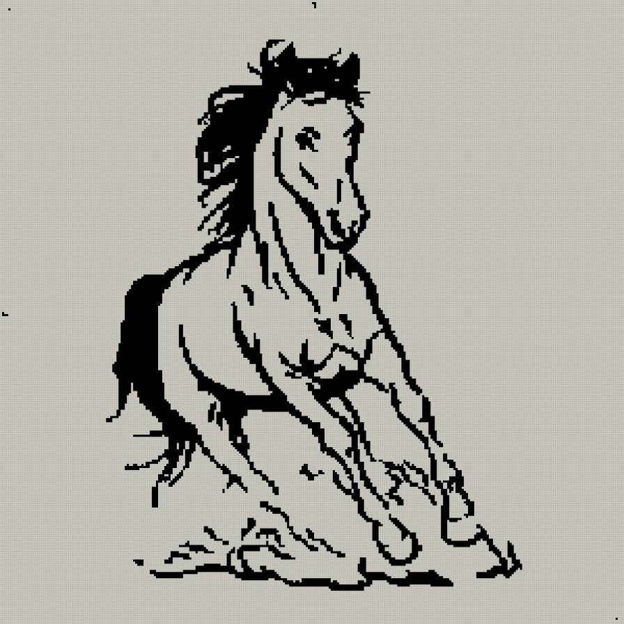 Монохром - черно-белый, лошадь, монохром - предпросмотр