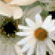 Предпросмотр схемы вышивки «белые цветы» (№175629)