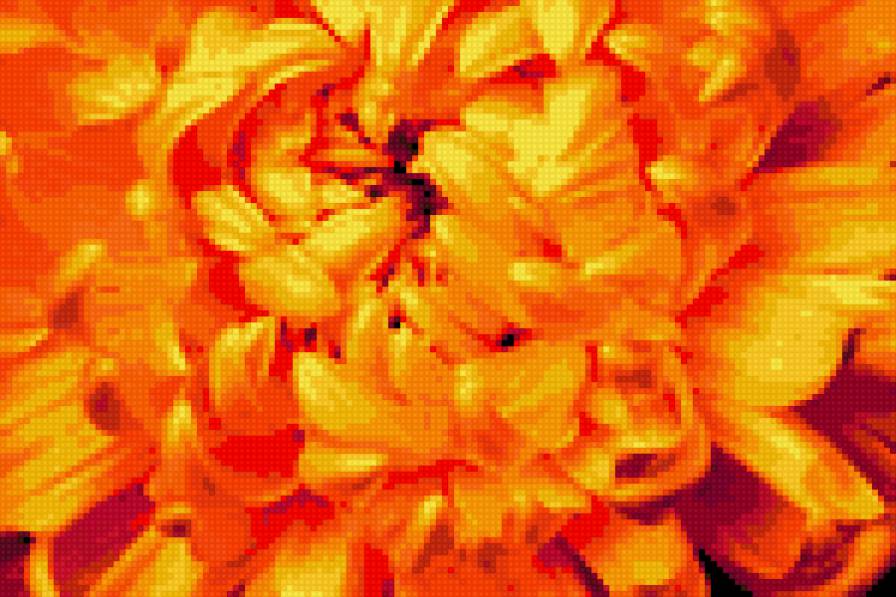 Желтая хризантема - цветы, желтый, хризантема - предпросмотр