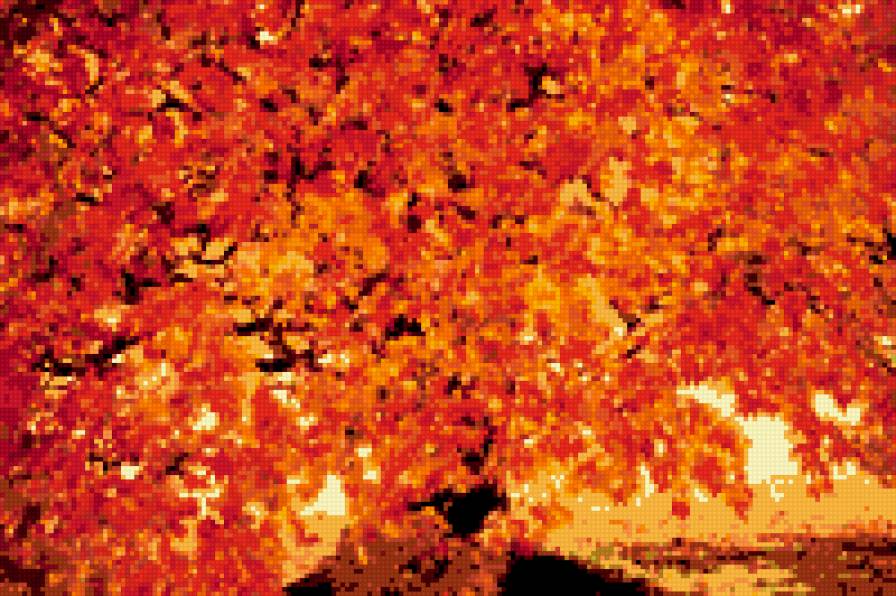 Осень - осень, дерево, пейзаж - предпросмотр