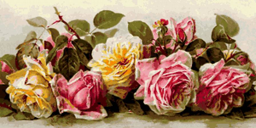 розы4 - природа, цветы, букет - предпросмотр