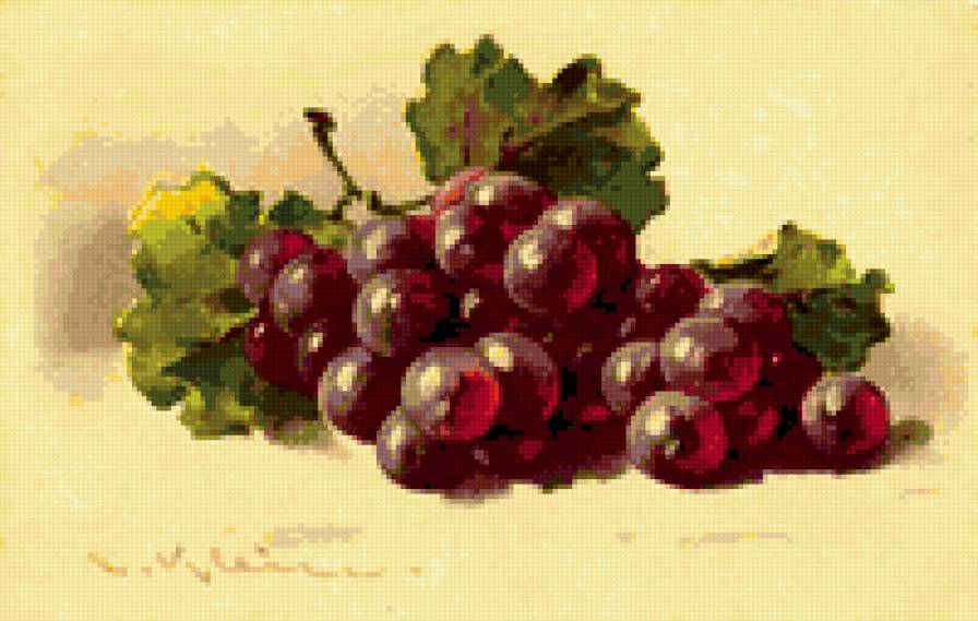 виноград - натюрморт, природа, фрукты - предпросмотр