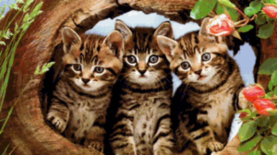 890567 - кошки, кошка, котята, коты, деревья, розы, котенок, кот, дерево - предпросмотр