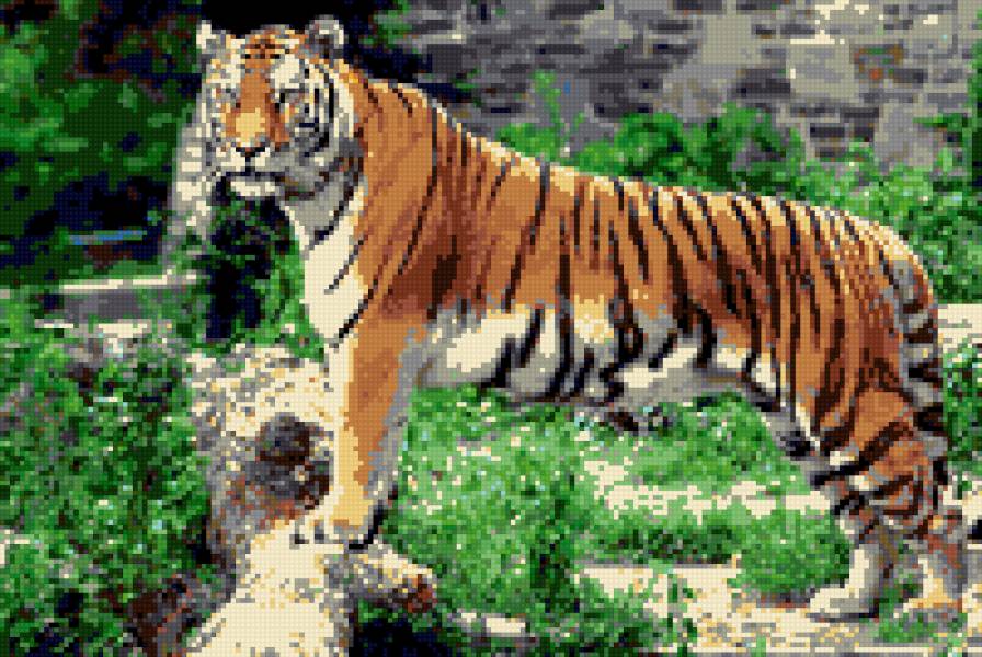 Тигр-р-р-р-р-р..=) - дикая природа, тигр, животные - предпросмотр