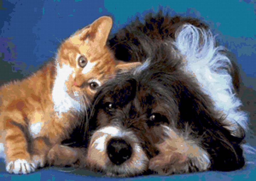 Друзья - кошки, собаки, животные - предпросмотр