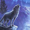 Оригинал схемы вышивки «Волк» (№177054)
