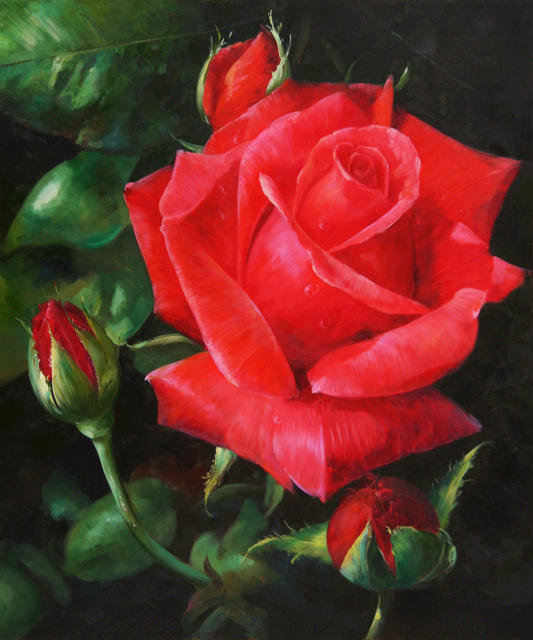 Красная Роза - цветы, картина, розы, живопись - оригинал