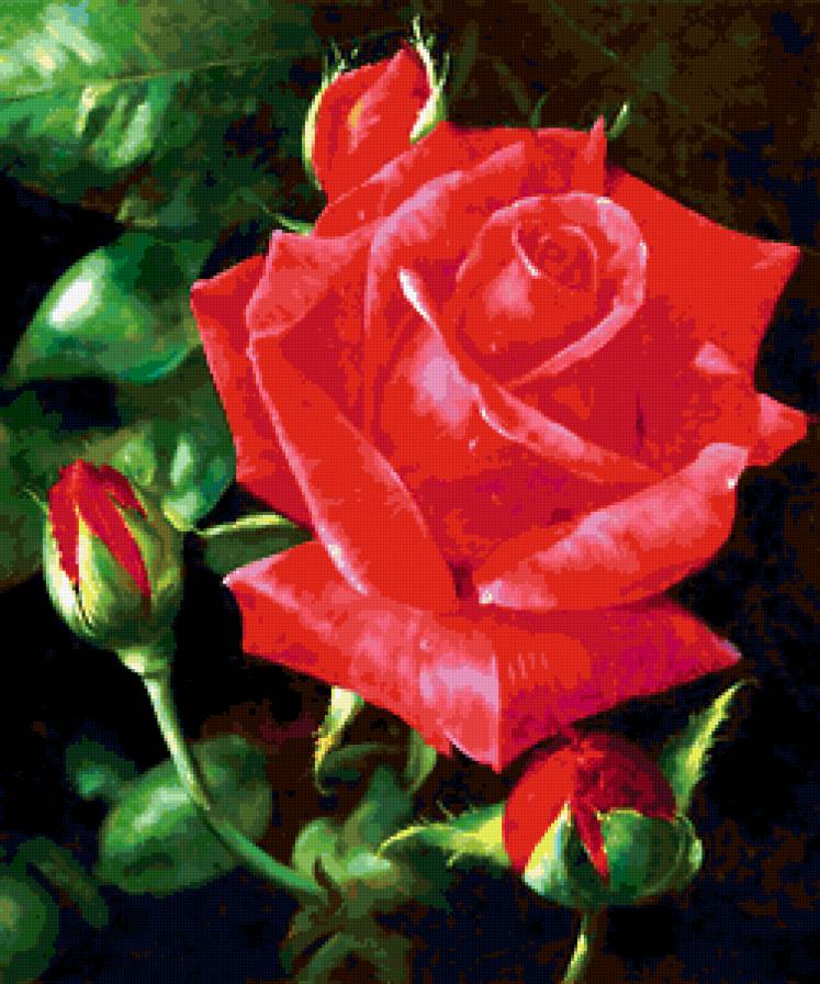 Красная Роза - живопись, цветы, розы, картина - предпросмотр