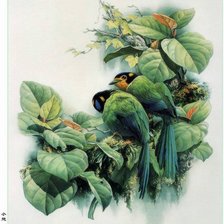 Оригинал схемы вышивки «райские птички» (№177463)