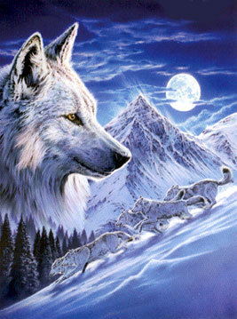 снежные волки - зима волки - оригинал