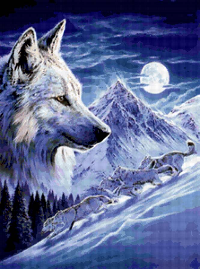 снежные волки - зима волки - предпросмотр
