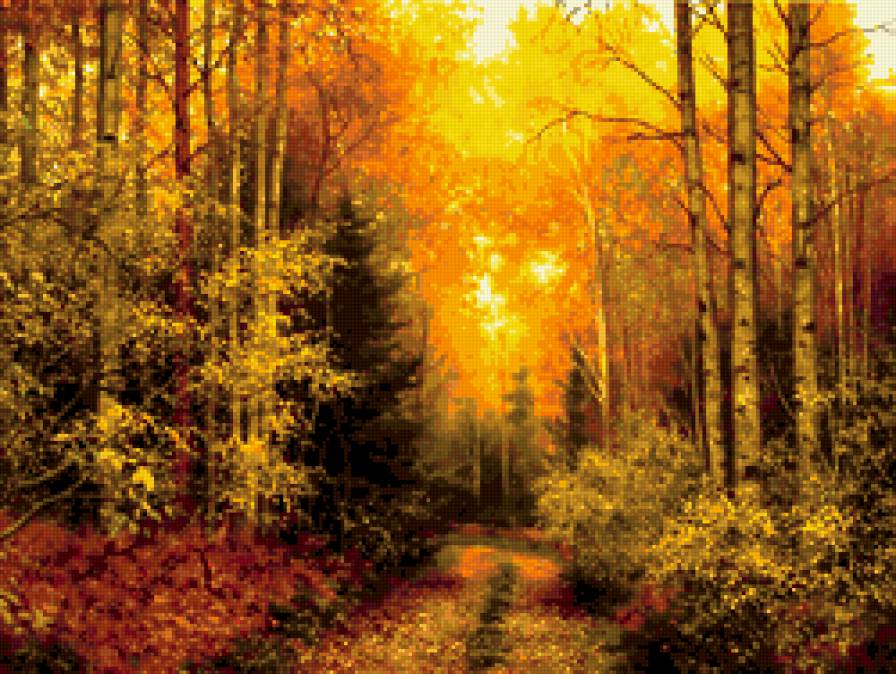 дорога в осень - пейзаж, лес, осень - предпросмотр