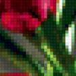Предпросмотр схемы вышивки «тюльпаны» (№177865)