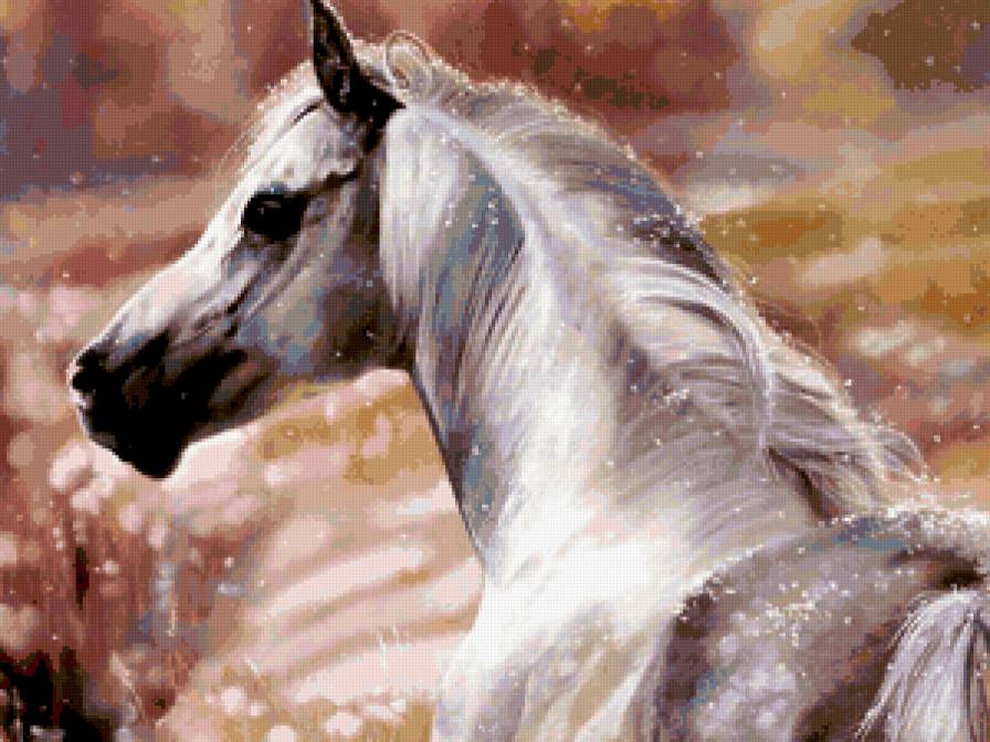 Белая лошадь - лошадь - предпросмотр