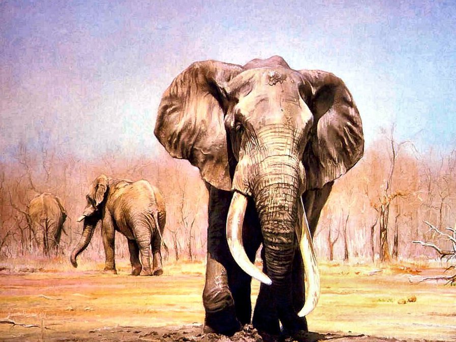 Слон - слон - оригинал