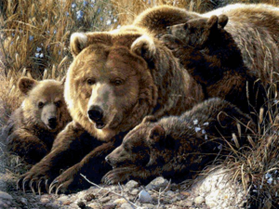 Семья - медведи - предпросмотр