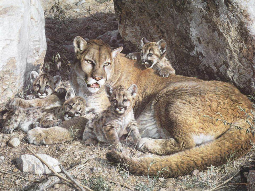 Мама с малышами - кошки, львы, животные - оригинал
